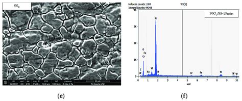 SEM Images 2500 Of WO3 Electrodeposited Onto The SS Substrate At A