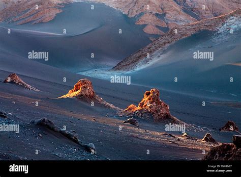 reserva nacional los flamencos  res stock photography  images alamy