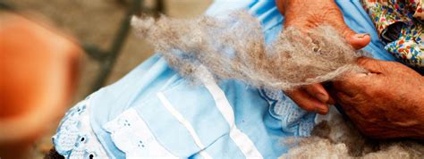 sigpa region del maule