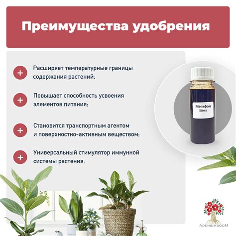 Стимулятор Мегафол: цена, инструкция по применению