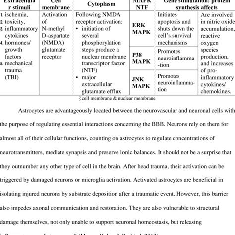 Mitogen-activated protein kinase (MAPK) pathways | Download Table 