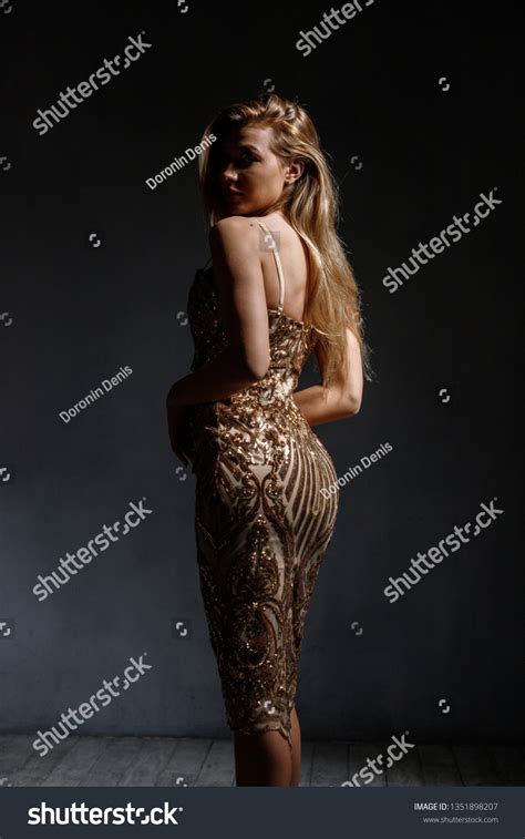 Beautiful Girl Sexy Blonde Dress Posing Stock Photo Shutterstock