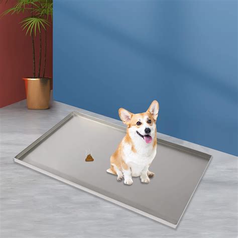 amazoncom replacement tray  dog cratechew proof  crack proof