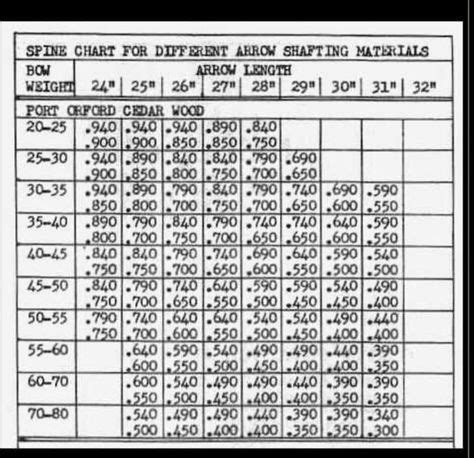 Wood Arrow Spine Chart | Hot Sex Picture