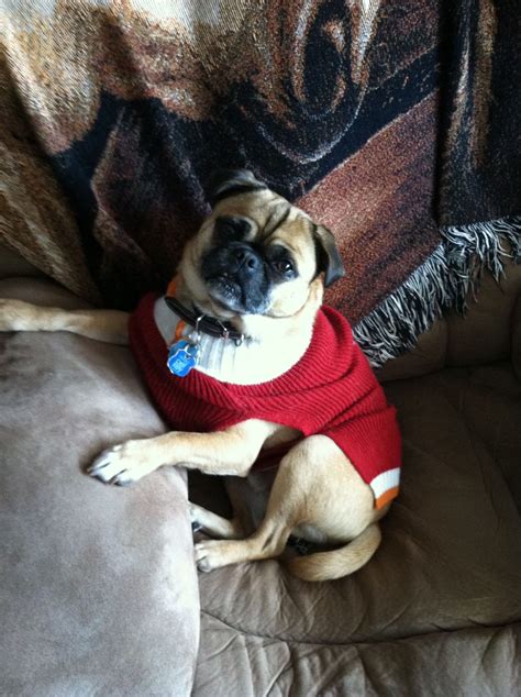 Harley Duane – 406 Pet Crematory