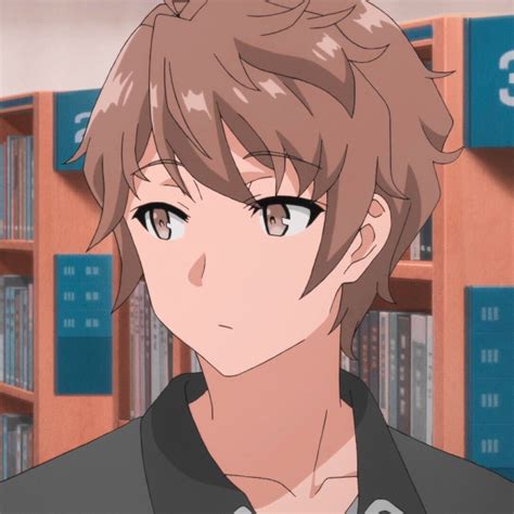 Pin On Bunny Girl Senpai