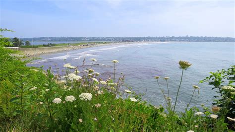 Newport Cliff Walk | Another Walk in the Park