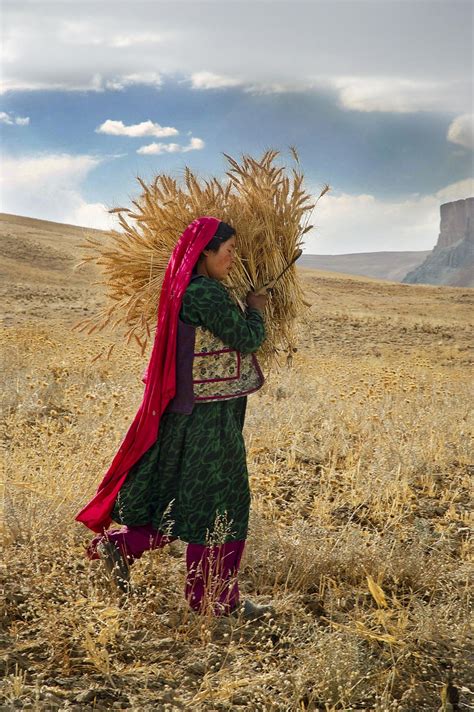 Afghanistan: Photography by Barat Ali Batoor | Western Australian Museum