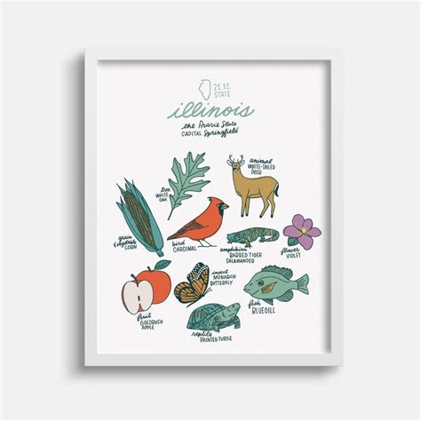 Illinois State Symbols Illustration Print - Etsy