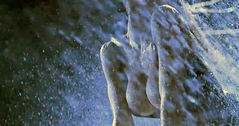 Pamela Anderson Nude Pics And Leaked Sex Tape Team Celeb