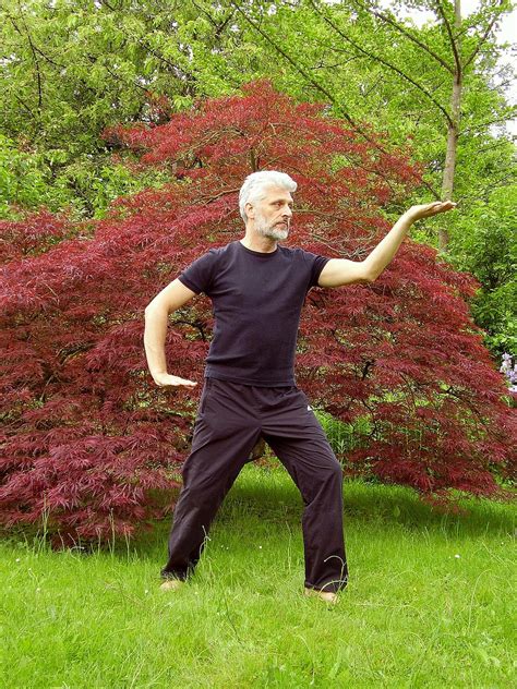 Tai Chi Taiji Qigong Qi Free Photo On Pixabay