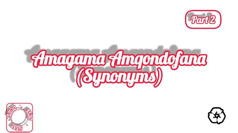 Amagama Amqondofana Synonyms Part Isizulu Lesson Youtube