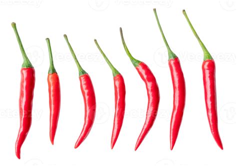 Top View Set Of Fresh Red Chili Or Pepers Isolated With Clipping Path In Png File Format Hot
