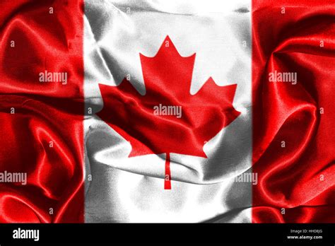 canadian national flag  maple leaf    red  white colors