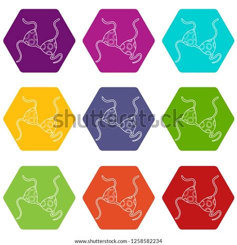 Bikini Top Icons Set Coloful Stock Vector Royalty Free Shutterstock
