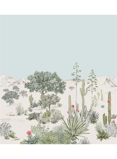 Papier Peint Panoramique Cactus Succulentes Grisaille A B 1 2 3 4 5 6