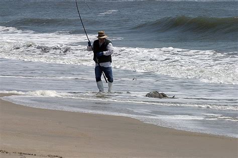 4 Tips to Surf Fishing with Success - LiveOutdoors