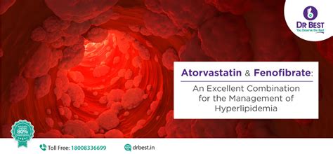 Atorvastatin And Fenofibrate Dr Best