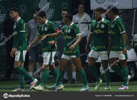 Sao Paulo Brasileiro Palmeiras Fair June Allianz Parque