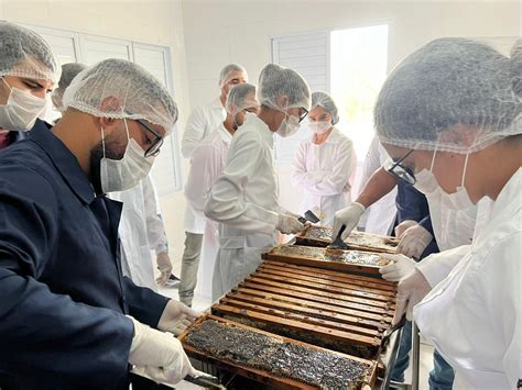 Preserva O Ambiental Casa Do Mel Completa Um Ano De Funcionamento