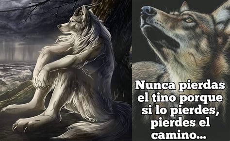 Por Qu Est N Compartiendo Im Genes De Lobos En Facebook El Siglo