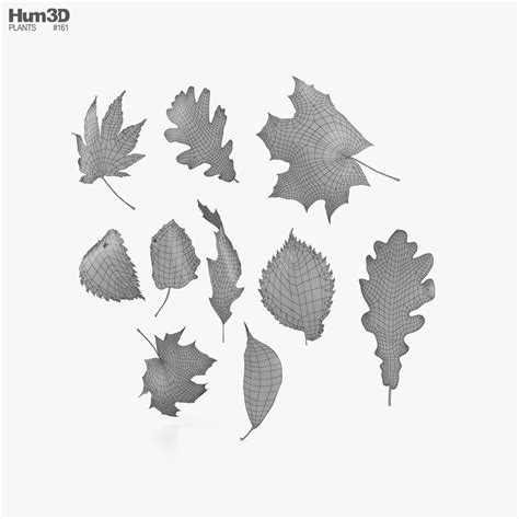 Autumn Leaves Set 3D model - Download Trees on 3DModels.org