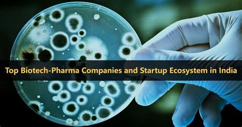 Top Biotech-Pharma Companies & Startup Ecosystem in India