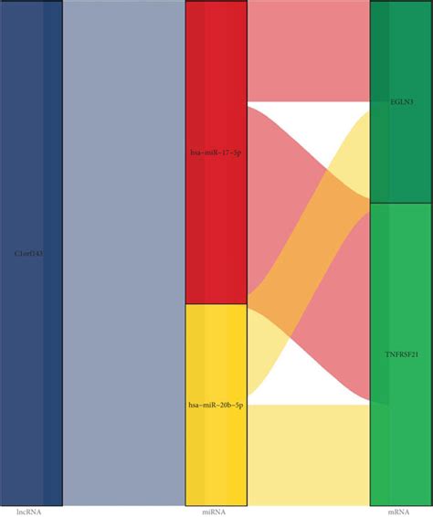 Cerna Network Construction Notes A Sankey Diagram For The