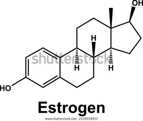 Estrogen Estradiol Molecule Steroid Female Sex Stock Vector Royalty Free Shutterstock