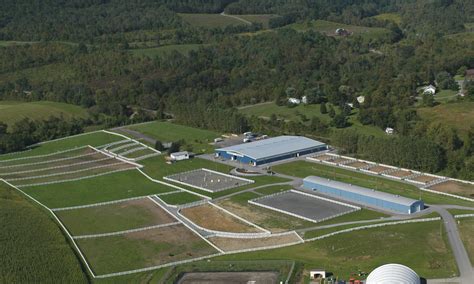 suny cobleskill equestrian center
