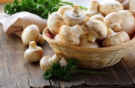 Mushrooms Smell Fishy – What It Means - Foods Guy