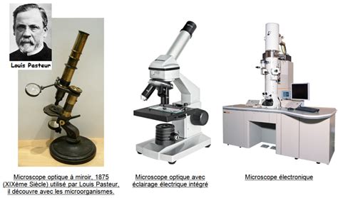 Vers 1830 les scientifiques réalisent de nombreuses 1ère SVT