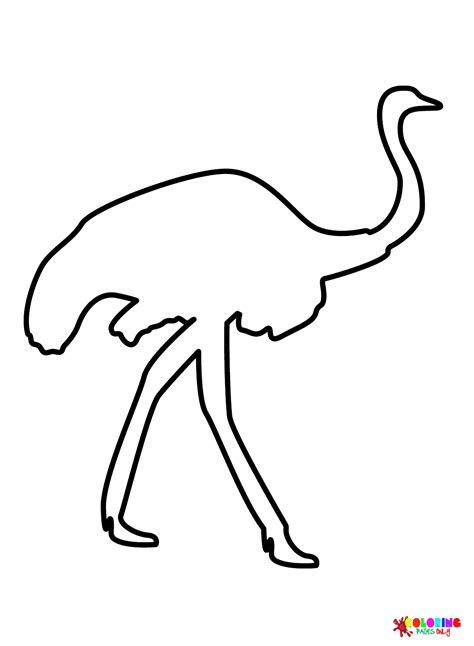 Draw Easy Emu Coloring Page Free Printable Coloring Pages