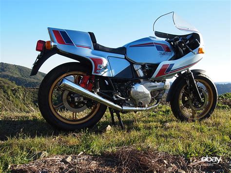 1981 Ducati 500 Sl Pantah Motozombdrivecom