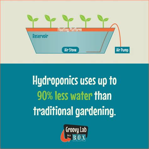 Hydrophonic Presentation