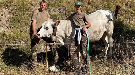 Il Docufilm Che Racconta Una Vita Da Margari Su E Gi Dalla Valle Maira