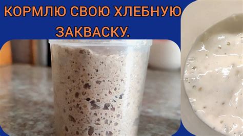 Хлебная закваска. Как я ее кормлю. - YouTube