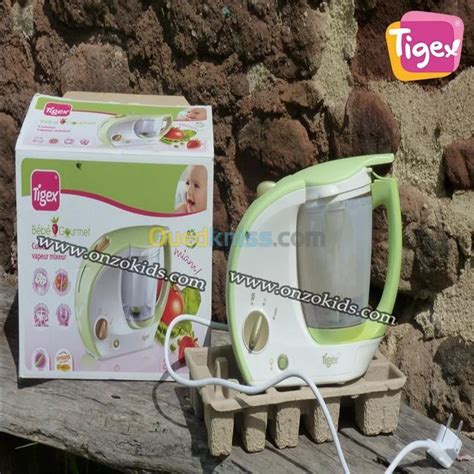 Robot Mixeur Cuiseur Vapeur Une Seule Lame Mini Chef Tigex Alger Dar