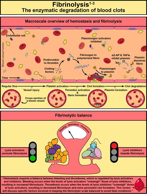 Fibrinolysis An Illustrated Review Research And Practice In