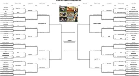 Favorite Dogs Revisited Quarterfinals Voting Brackets