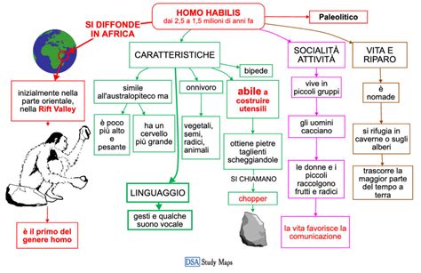 Homo Habilis Mappa Concettuale