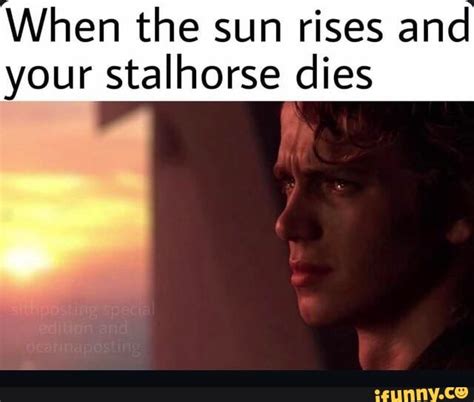 Stalhorse Memes Best Collection Of Funny Stalhorse Pictures On Ifunny