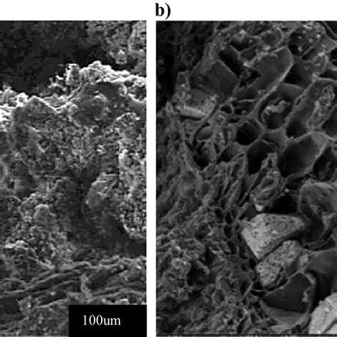 Scanning Electron Micrograph Of Poultry Litter Biochar At 300 °c A