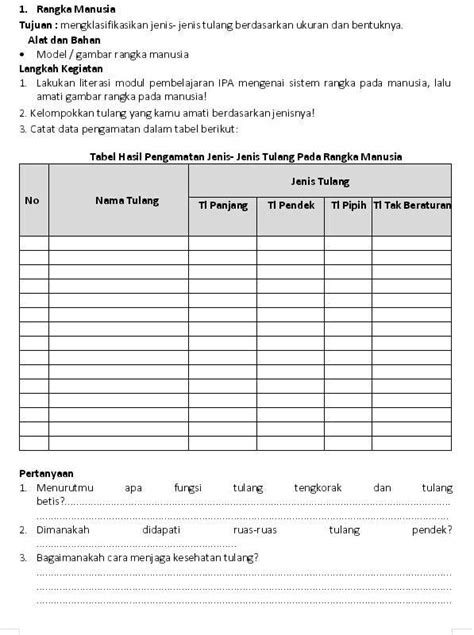 Solved Mohon Bantuannya Kak Rangka Manusia Tujuan Mergklasifikasikan