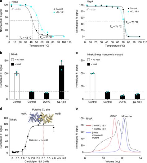 An Engineered Thermal Shift Screen Reveals Specific Lipid Preferences