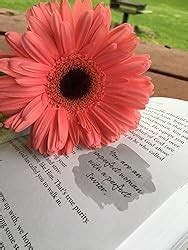 Sex Purity And The Longings Of A Girl S Heart Discovering The Beauty And Freedom Of God