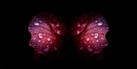 Sex Vs Intimacy Which Comes First Ecstatic Intimacy