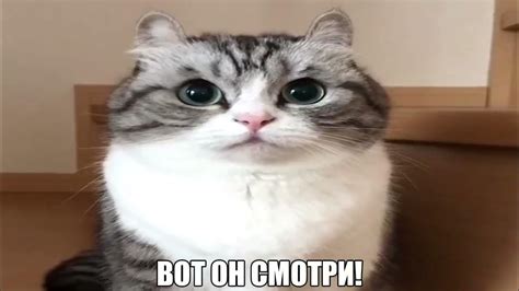 ХРХРХРХРХРХРХ ХОМ - YouTube