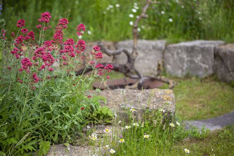 Der Naturgarten Wissen