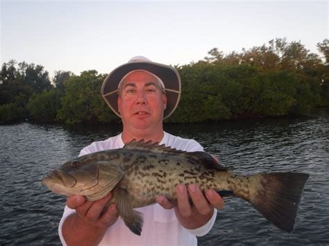 Top Siesta Key Game Fish Fishing With Capt Jim